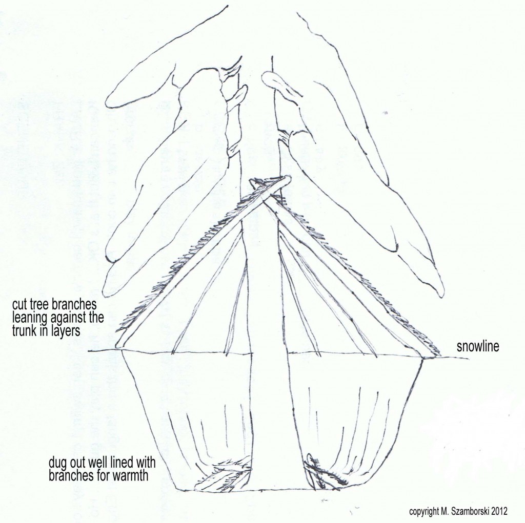 Tree well shelter diagram